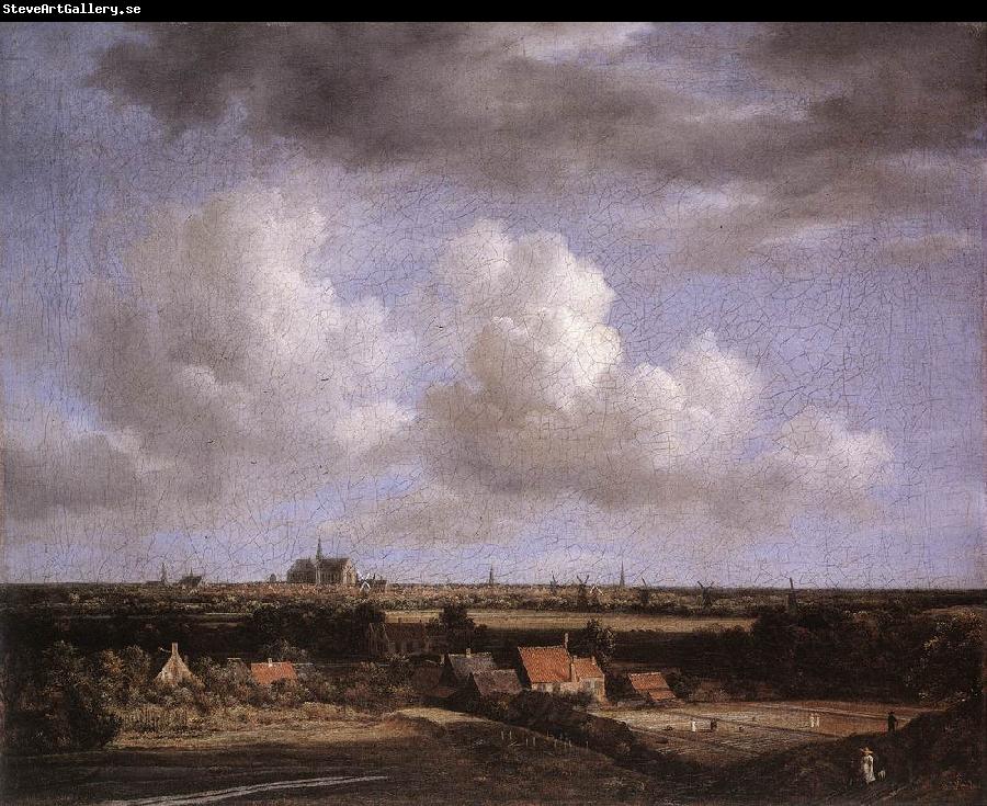 Jacob van Ruisdael Landscape with a View of Haarlem